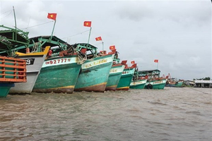 Vietnam making utmost efforts to tackle IUU fishing: Deputy PM