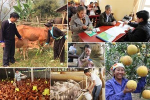 Nearly VND2.94 trillion of loans for hunger eradication, poverty reduction