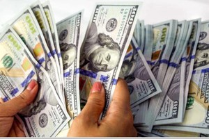 Dollar prices rebound to above VND24,000 at commercial banks