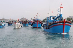 Tien Giang works hard on combating IUU fishing