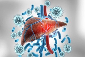 HCMC makes plans for viral hepatitis prevention