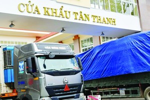 Vietnam prepares for export promotion as China plans to open doors again