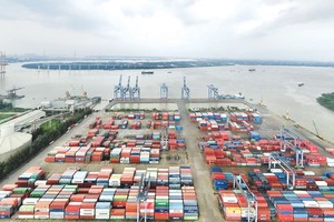 HCMC seaport system needs mechanisms to connect effectively