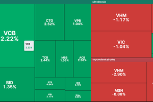 VN-Index moves up nearly 9 points as banking stocks suddenly reverse