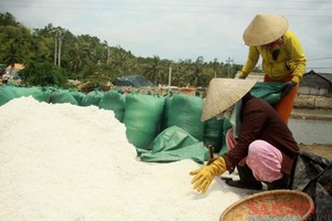 Despite high salt price, Quang Ngai farmers no longer have salt to sell
