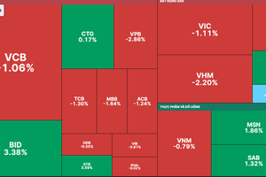 Pillar stocks alleviate VN-Index's decrease