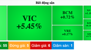Market rallies on SBV's policy rate cuts