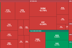 VN-Index flooded in red due to strong selling pressure