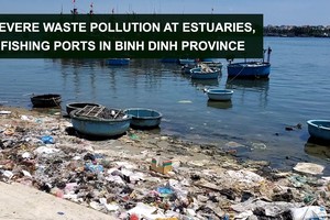 Severe waste pollution at estuaries, fishing ports in Binh Dinh Province