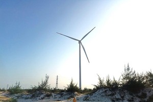 Only 18 renewable power projects granted electricity operation licenses