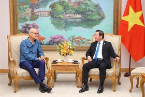 Vietnam welcomes international renewable energy projects: Deputy PM