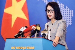 Vietnam’s sovereignty must be respected: Foreign Ministry’s spokesperson