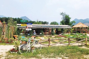 From waste to beauty: The journey of Waste Recycling Garden NNC