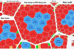 Investors dump shares as SBV officially cuts benchmark interest rates