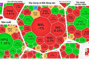 VN-Index retreats for second day as cash flow disappears