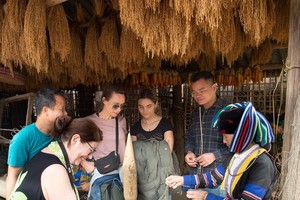 New visa policies may attract 12m international tourists to Vietnam in 2023