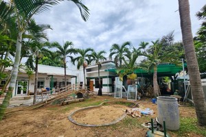 Green Shoots School leaders flee with tuitions: Investigation underway