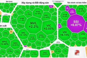 VN-Index recovers losses from previous session