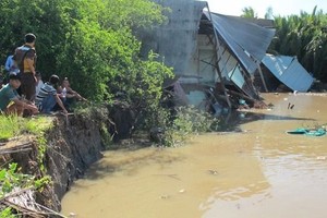 HCMC accelerates progress of erosion prevention embankment projects