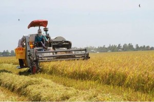VN, Canada hold huge cooperation potential in agriculture: Canadian insiders
