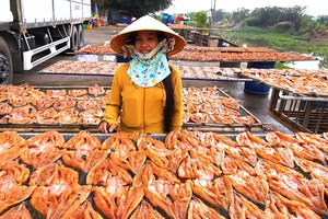 Tet delicacies: Irresistible specialties from Mekong Delta region