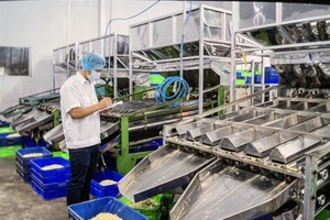 Cashew firms propose to expand raw material areas