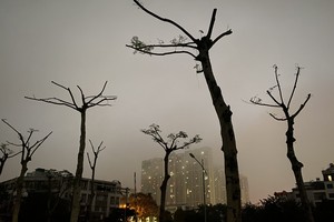 Cold air arrives in Northern region on Feb 26 night