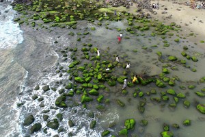Stunning Nam O Rocky Shore in green moss season