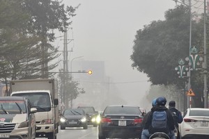 Widespread fog alert in Northern region
