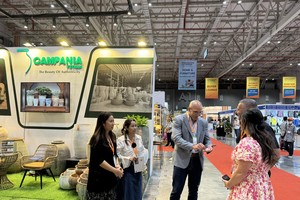 Foreign businesses increasingly seek export sources in Vietnam