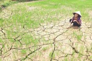 Central Vietnam gripped by intense heatwave