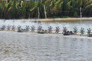 HCMC targets agricultural production value of VND650 million/ha by 2025