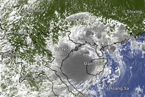 Hanoi potentially experiences rainfall of 100mm, winds gusting levels 8-9