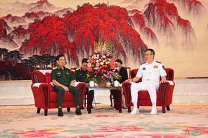 Vietnamese Defense Minister meets Chinese counterpart