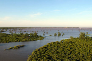 Thai Binh redefines Tien Hai Wetland Reserve amid controversy