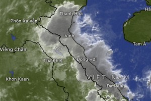 Heavy rainfall alerts for Central, Southern Vietnam