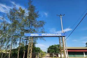 High-tech agriculture project fails, leaving land in Thach Van Commune neglected