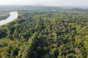 5.9 million carbon credits remain pending due to legal challenges