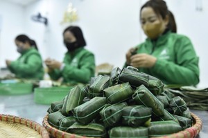 Traditional craft villages bustle with Tet preparations