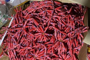 Over 13 tons of smuggled unsafe food for children seized in Hanoi