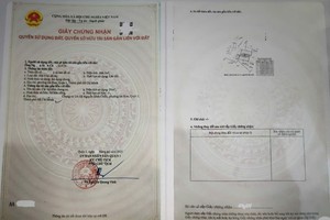 New compact pink book raises concerns over frequent replacements