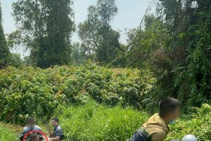 HCMC police arrest kidnappers, rescue foreign victim