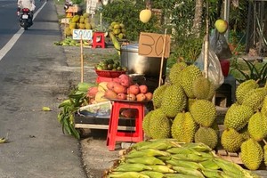 Mekong Delta farmers flock to roadside to sell durians amid market slump
