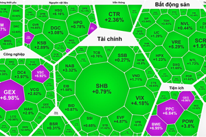 VN-Index rallies as HOSE rolls out KRX trading platform