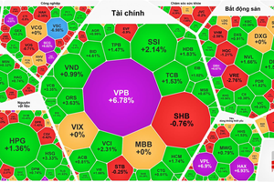 VN-Index soars past 1,300 points as market liquidity exceeds $1 billion
