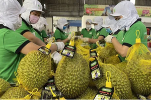 Rejected durian returns remain uncontrolled