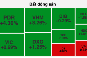 VN-Index hits new record at 1,347.69 points, driven by property, banking stocks