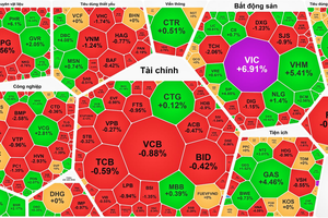 VN-Index hits new peak despite market divergence