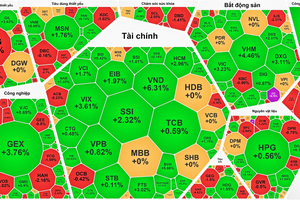 VN-Index nears 1,370 as market rally gains momentum