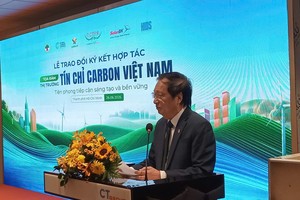Vietnam holds vast potential for carbon credit generation